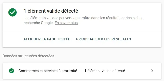 Résultats de l'audit Schema.org