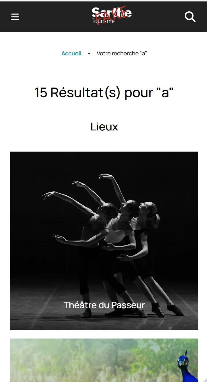 Résultats de recherche en mode mobile